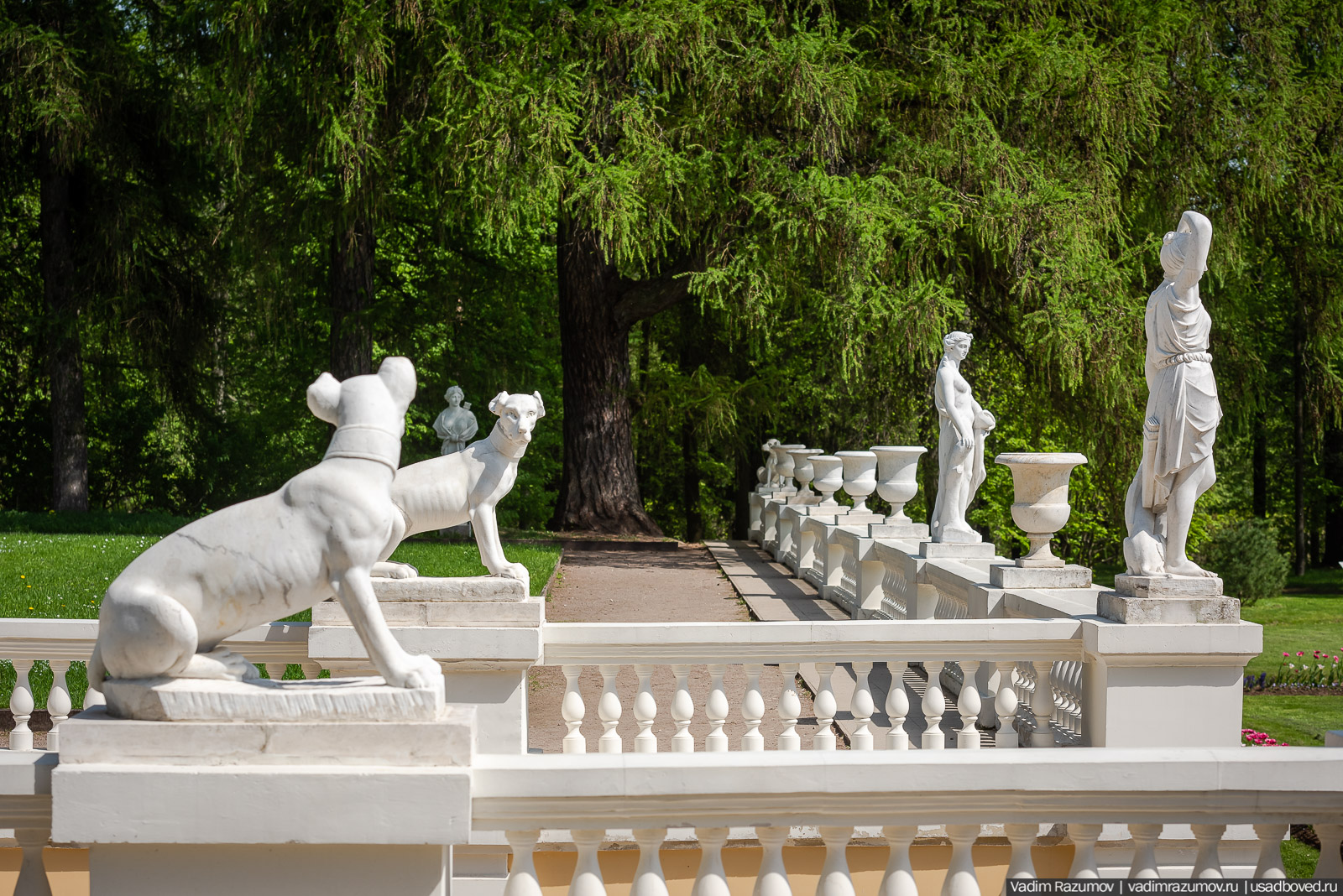 усадьба Архангельское, весна, май 2021