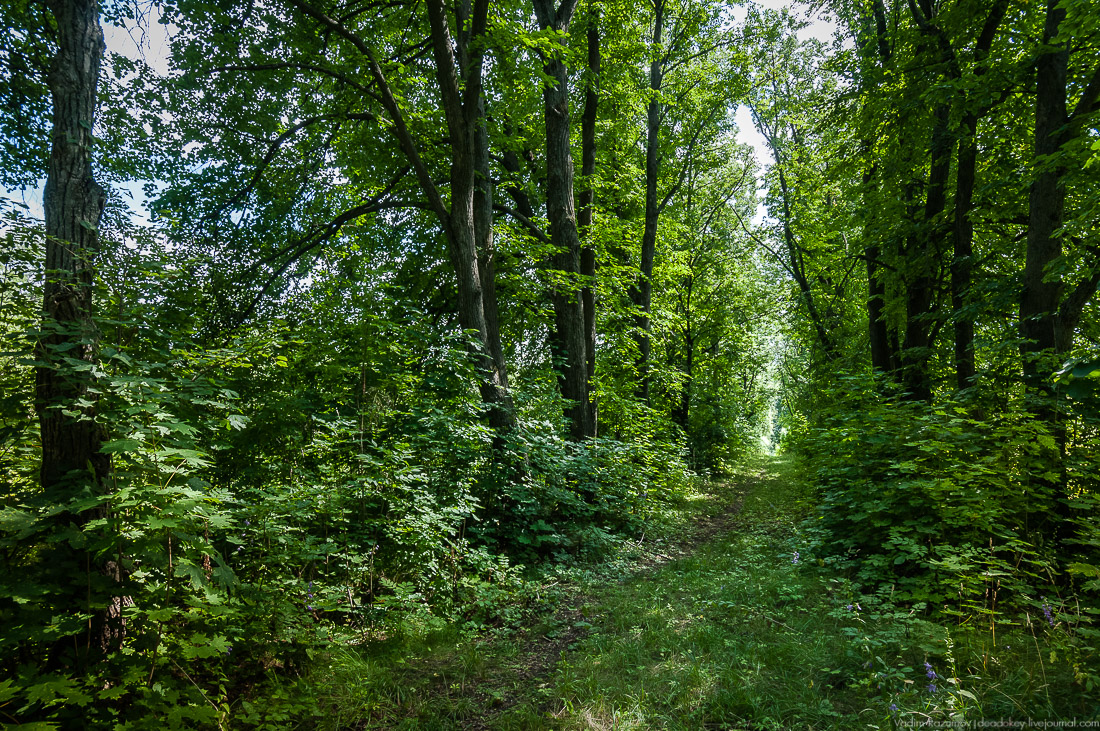 усадьба Стегаловка Ведровых