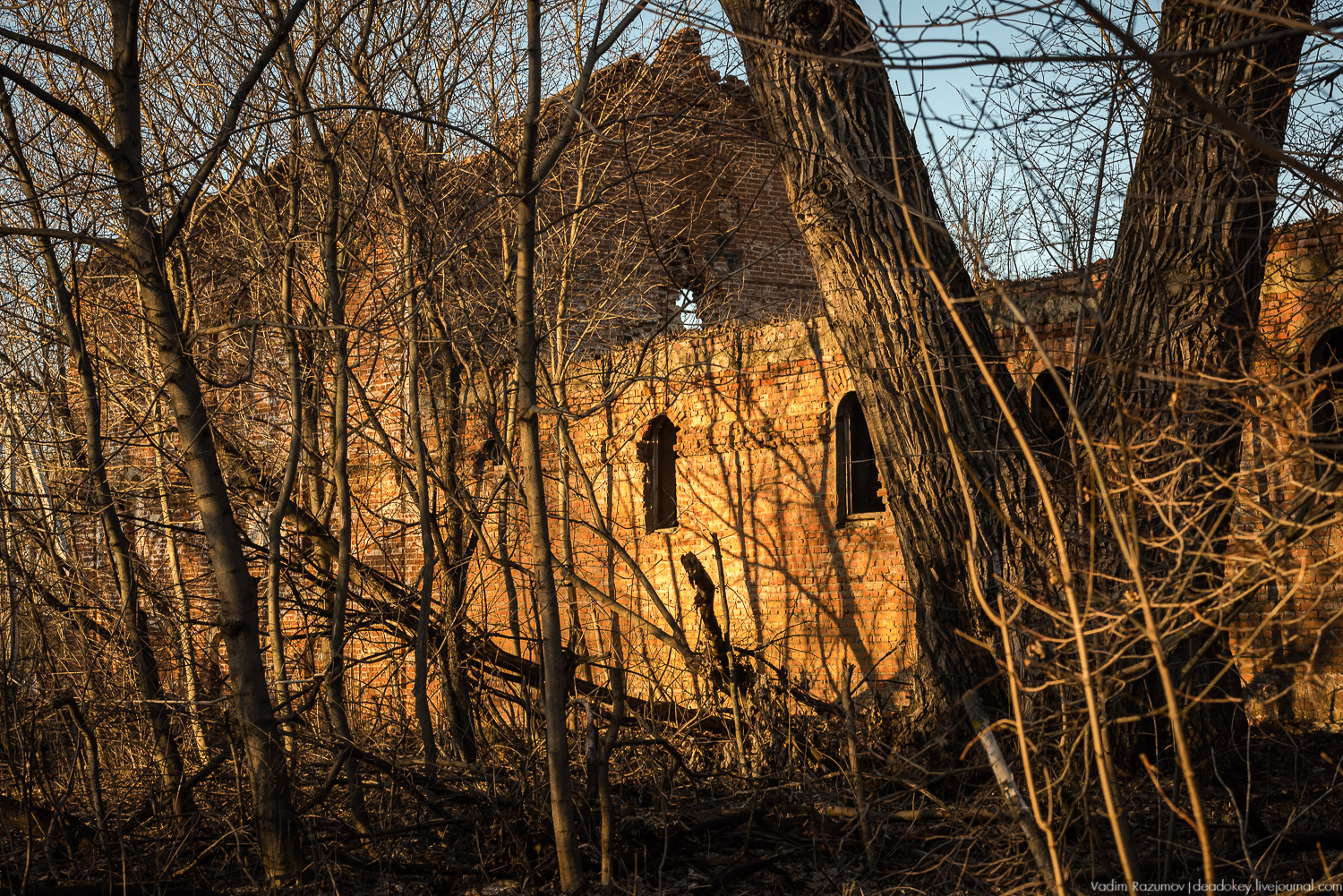 Сахарный завод Бобринских в Богородицке, Тульская область
