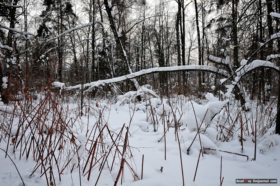 усадьба Дугино