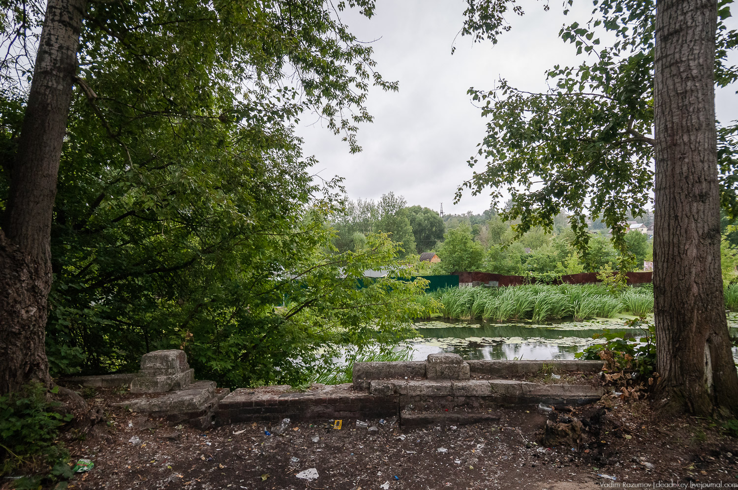 усадьба Лапино-Спасское, г. Королев, Усадебные волонтеры