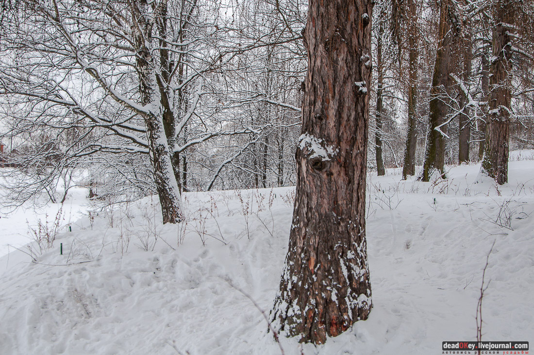 усадьба Большие Вяземы