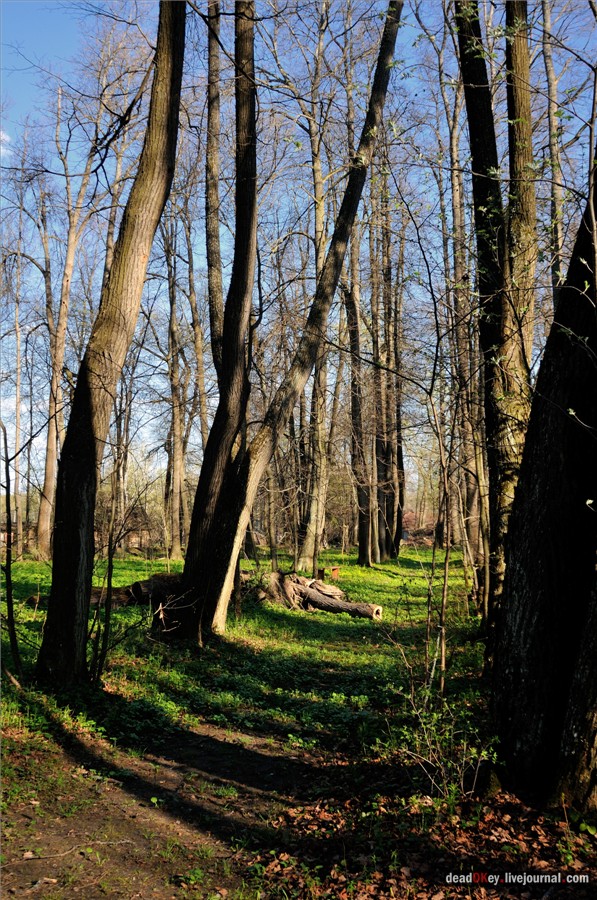 усадьба Орехово