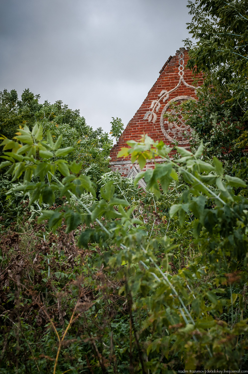 усадьба Каргашино