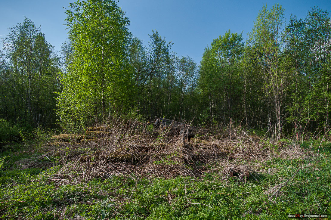 заброшенная деревня Сяпчозеро, Карелия, Кондопожский район