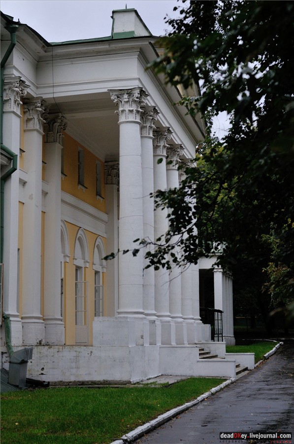 усадьба Строганова Дача