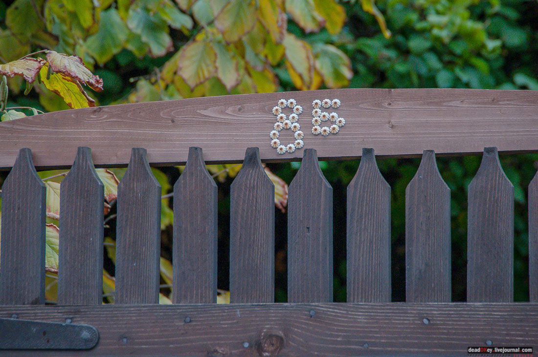 кооперативный поселок Сокол, поселок художников, Москва