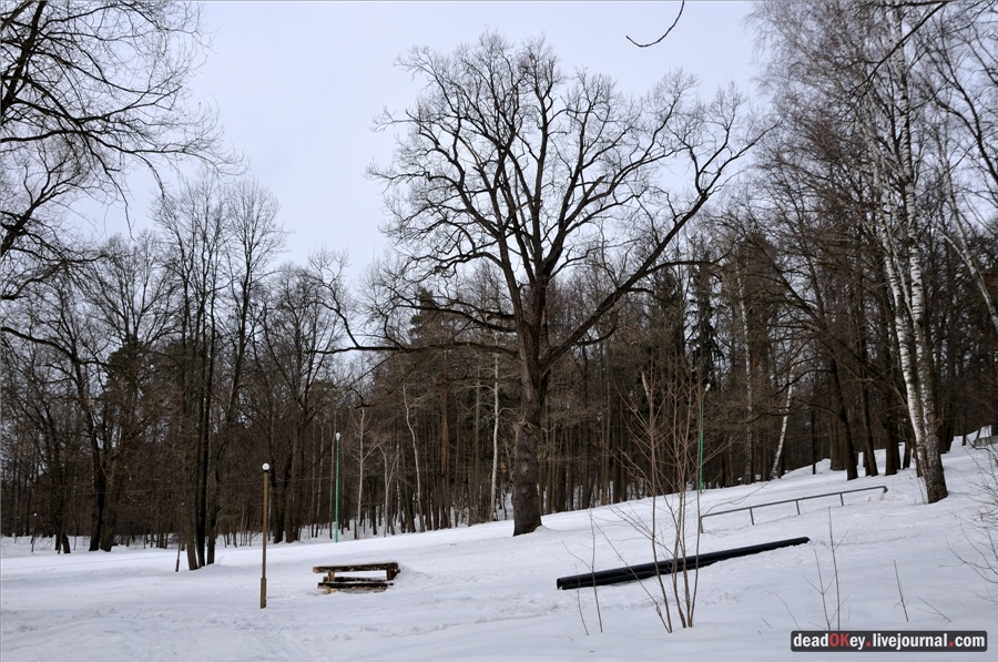 усадьба Райки