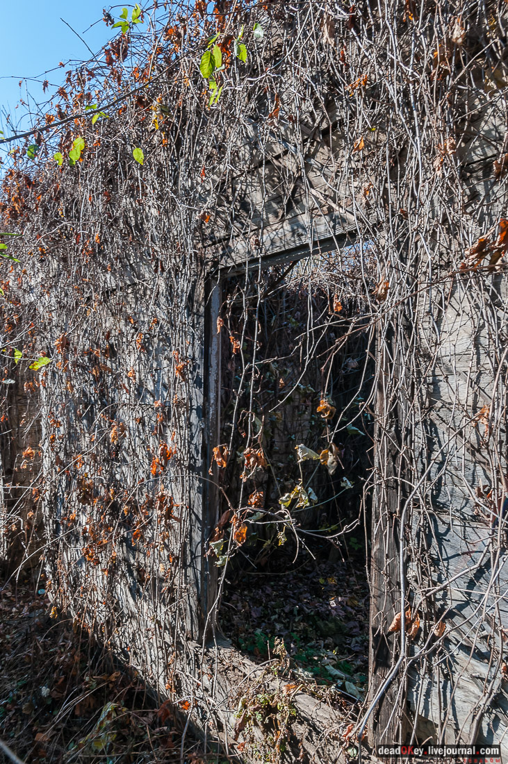 Кисловодский парк, г. Кисловодск