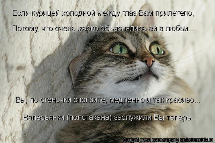 14 (700x466, 221Kb)
