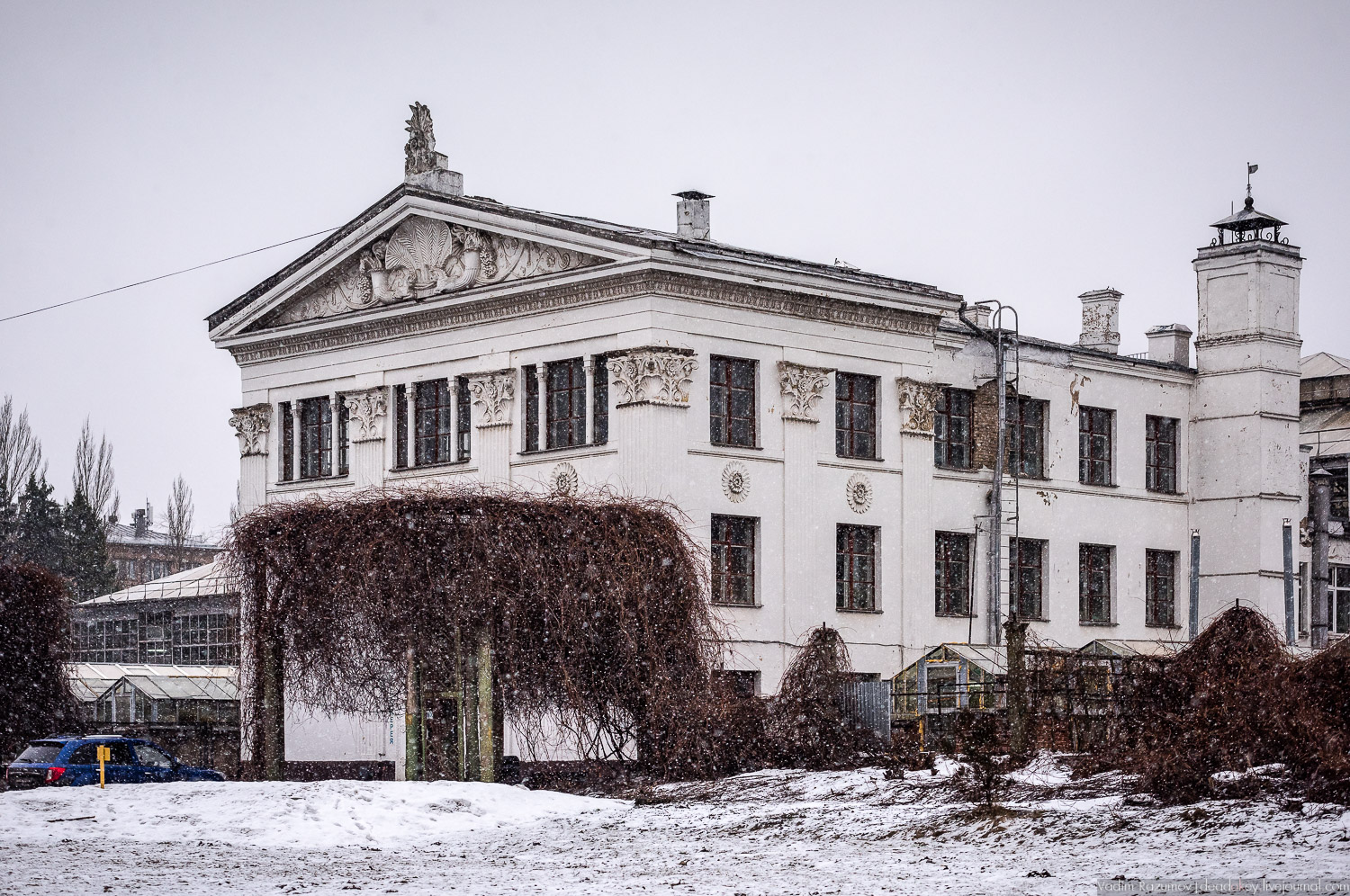 Ботанический сад, фондовая оранжерея, Экоэлектричка, борщевик