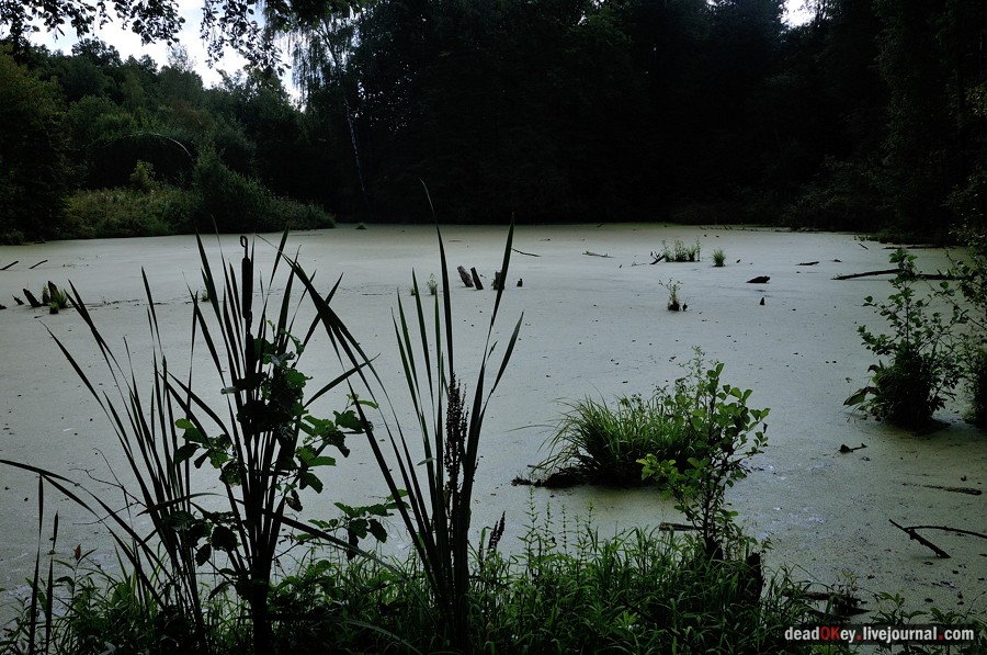 усадьба Денежниково