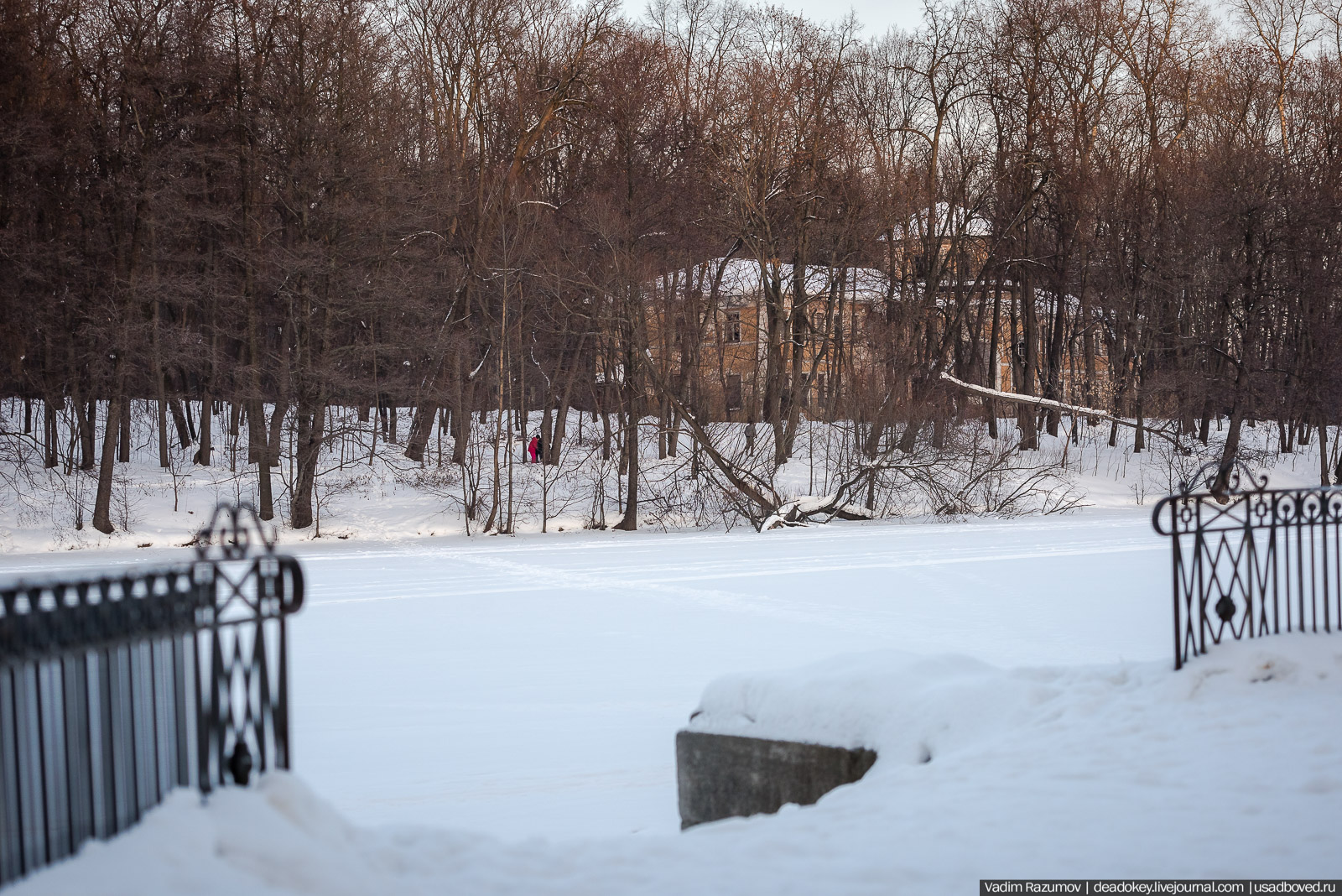 Усадьба Кузьминки, Москва, январь 2019 года