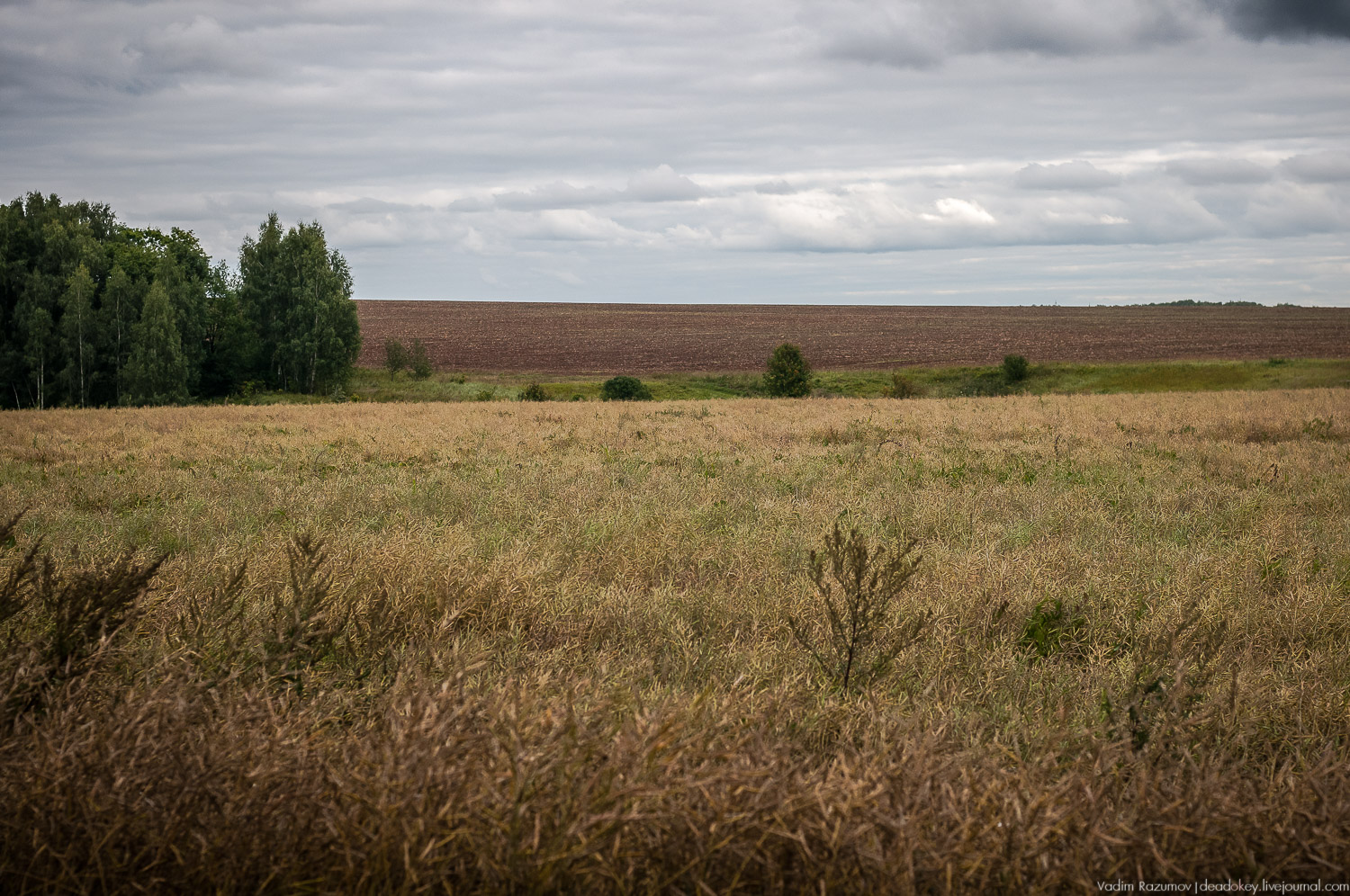 усадьба Даровое, Зарайский район, Ф.М. Достоевский