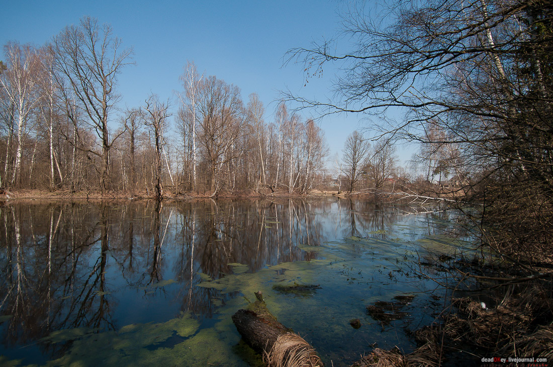 усадьба Савинское (исследование масонского парка)