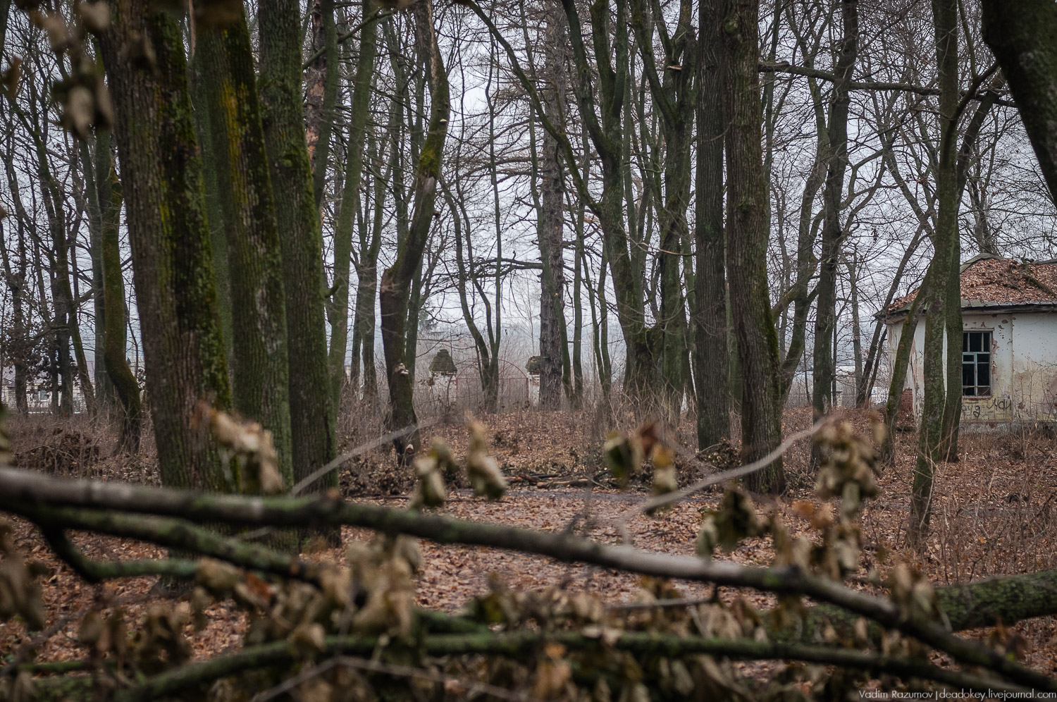 усадьба Троекурово, Липецкая область, Лебедянский район