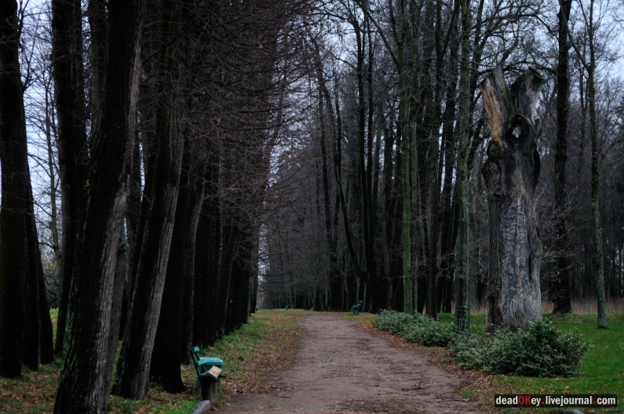 усадьба Горки Ленинские