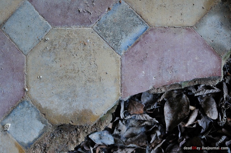 усадьба Клины