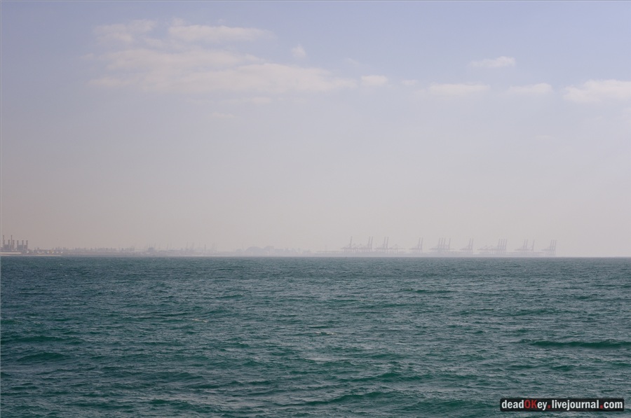 усадьба ОАЭ. Дубаи.