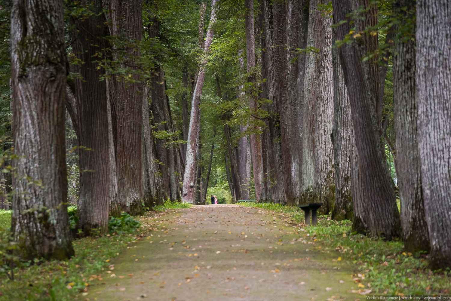 усадьба Спасское-Лутовиново И.С. Тургенева, юбилей Тургенева 200 лет, Орловская область