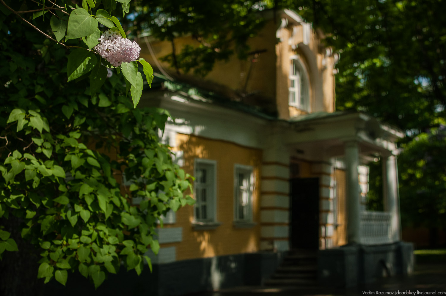 усадьба Валуево в мае