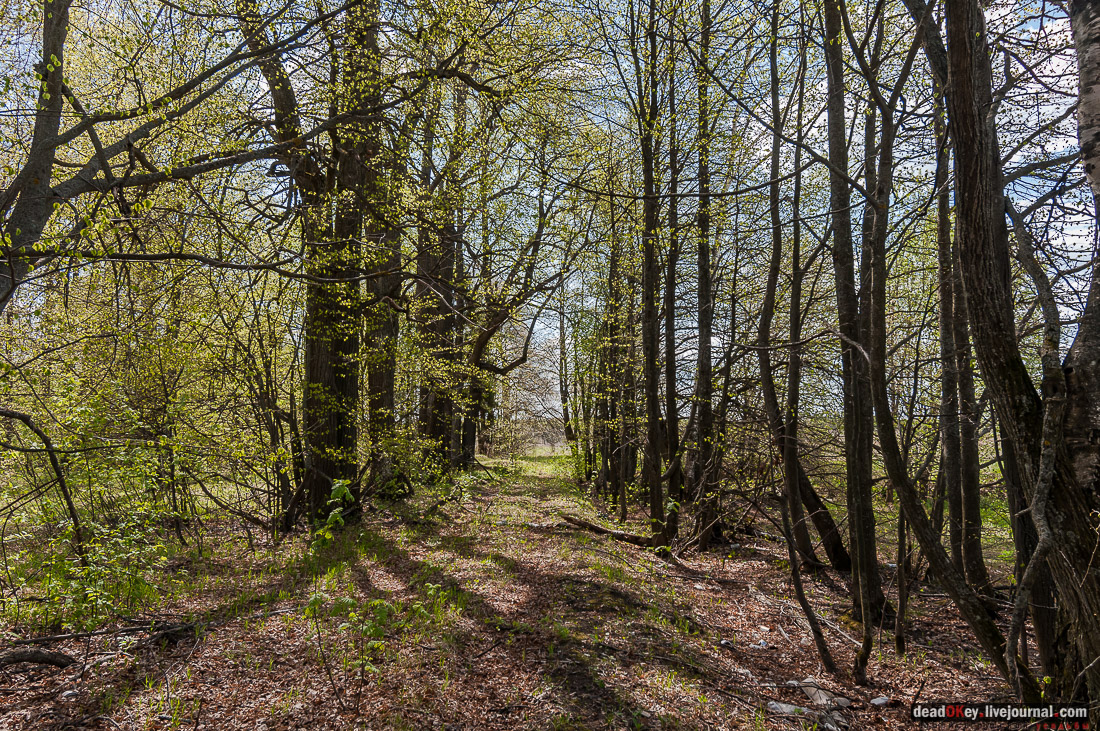 усадьба Дорожаево