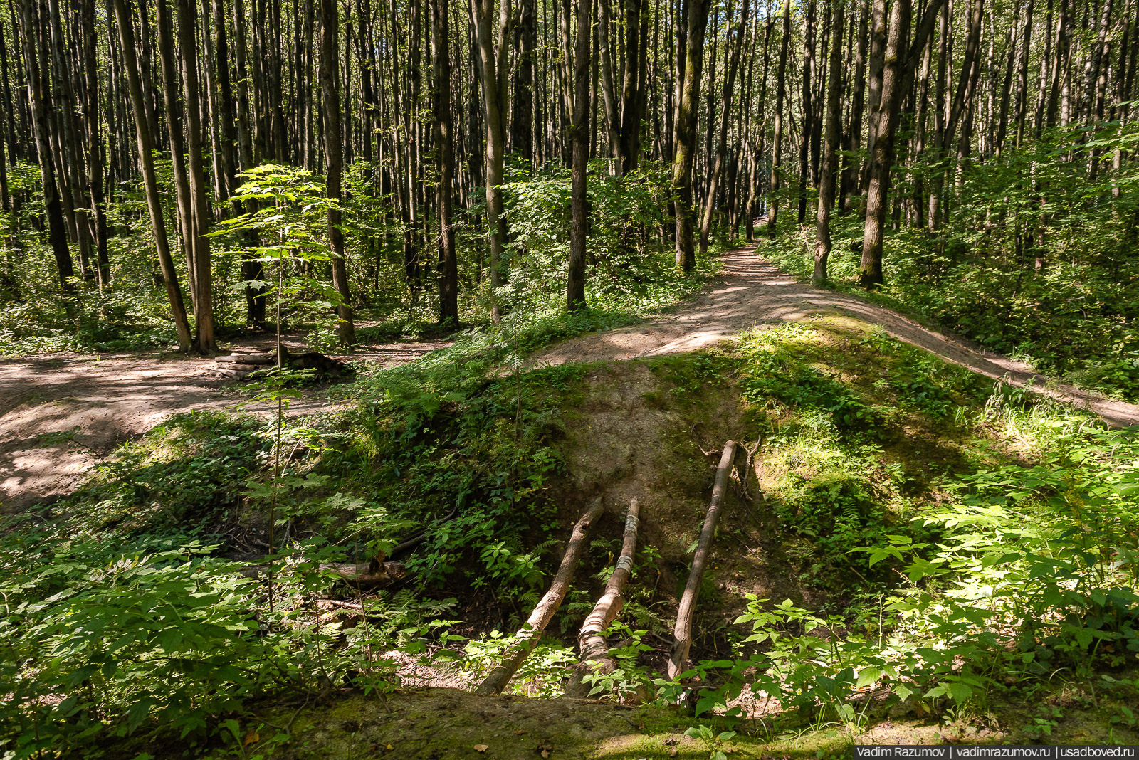Усадьба Заболотье, парк, курганы, Долгопрудный, Москва