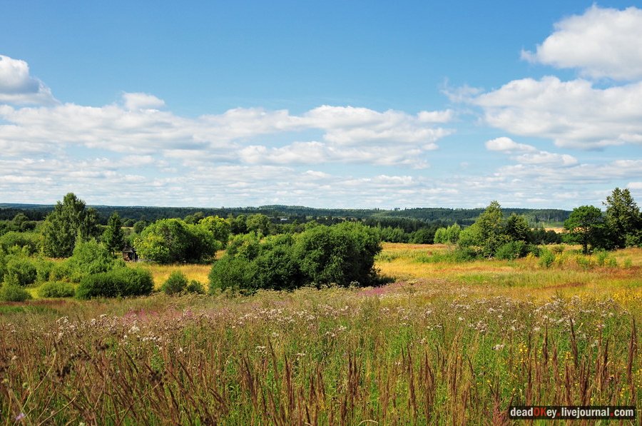усадьба Муханово