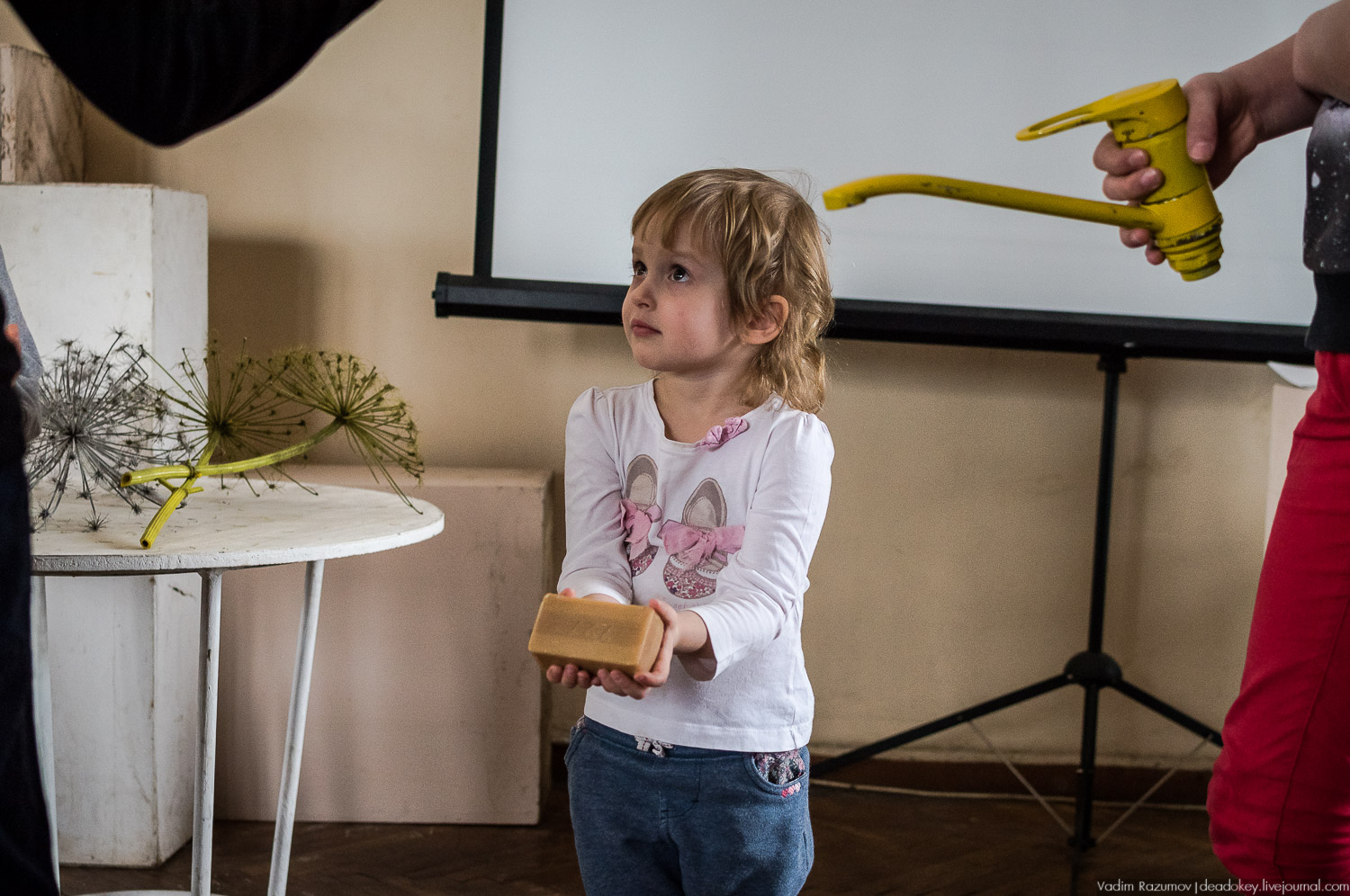 Ботанический сад, фондовая оранжерея, Экоэлектричка, борщевик