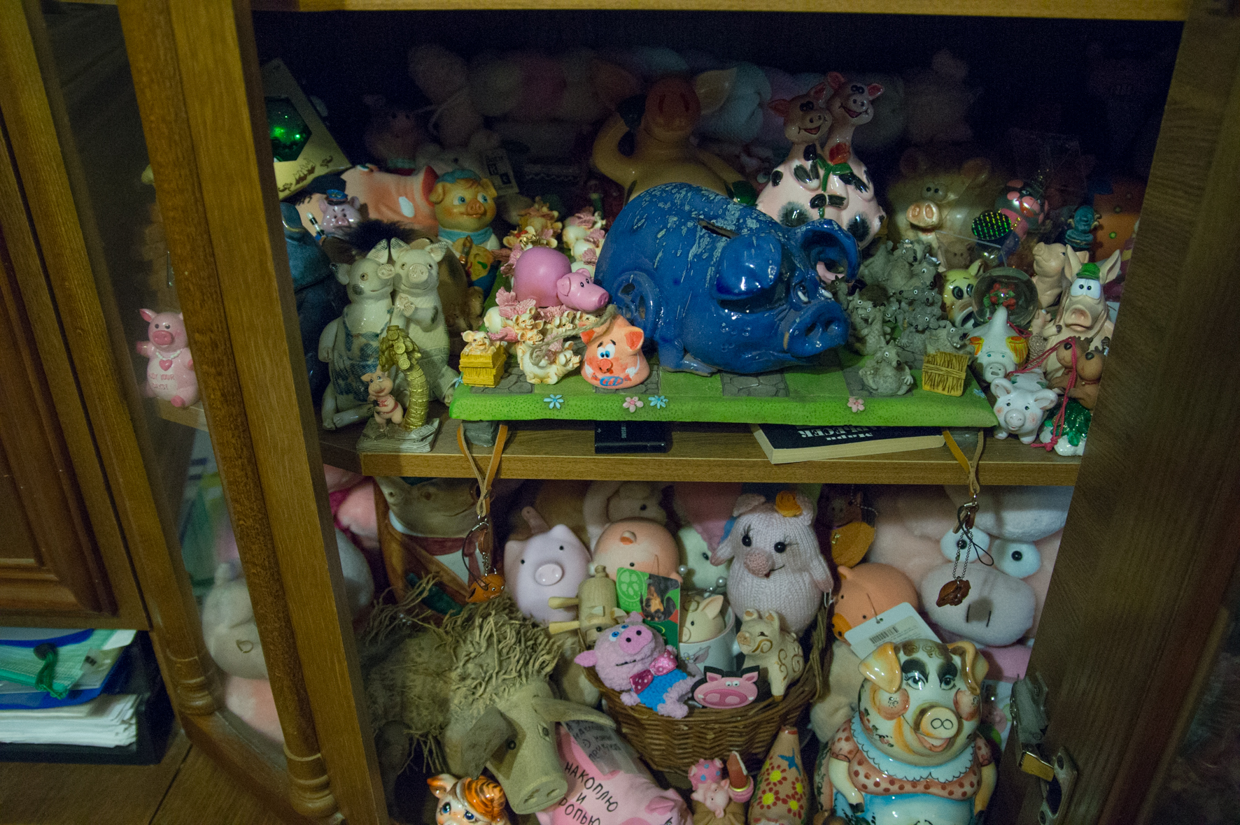 Свиньи, музей свиней