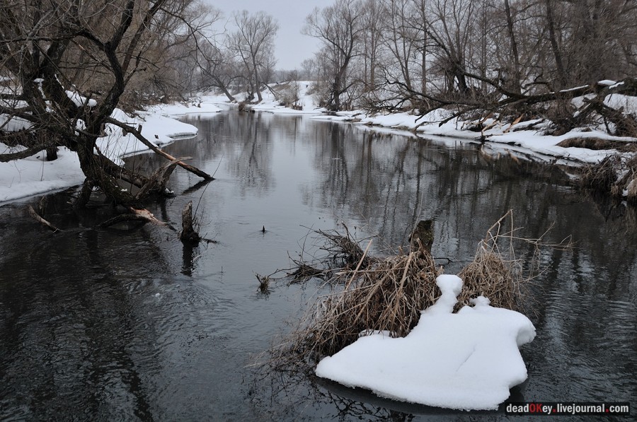 усадьба Авдотьино