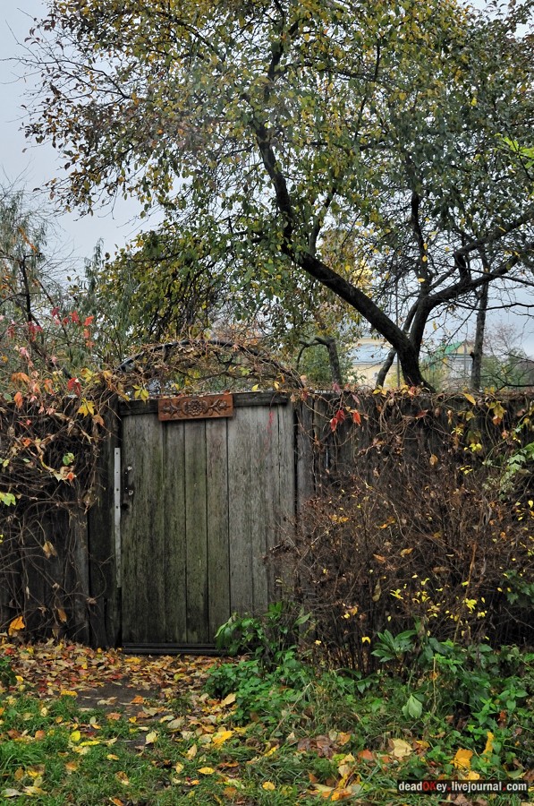 усадьба Богородской (пос. Володарского)