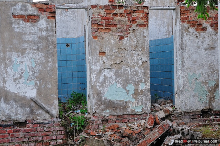 усадьба Спасское