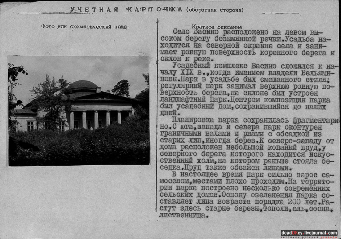 усадьба Васино