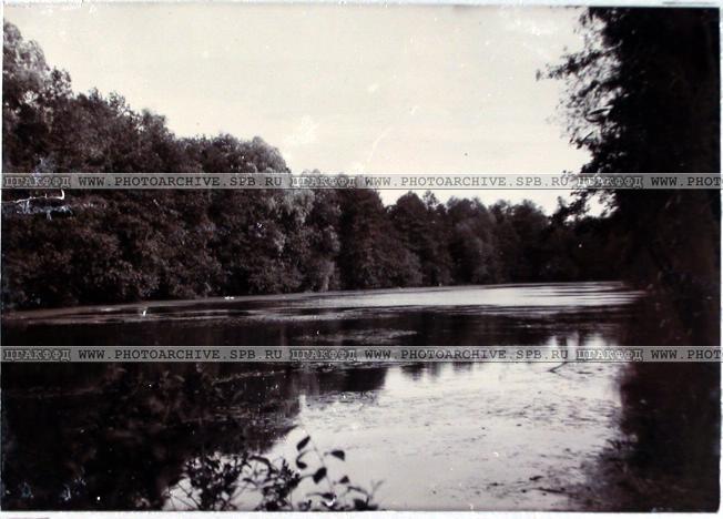 усадьба Городня