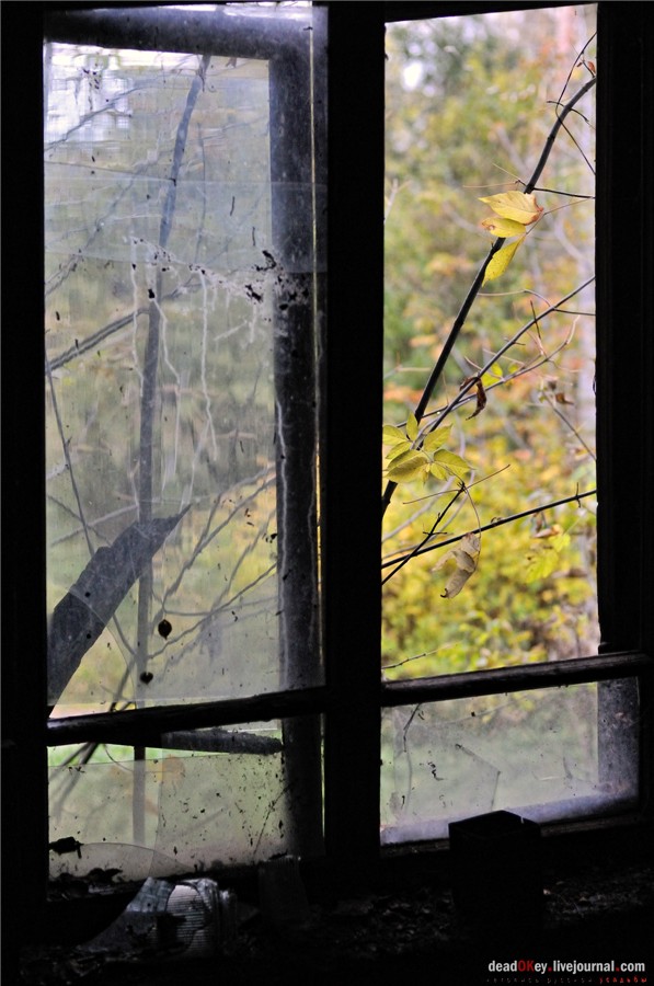 усадьба Лучки