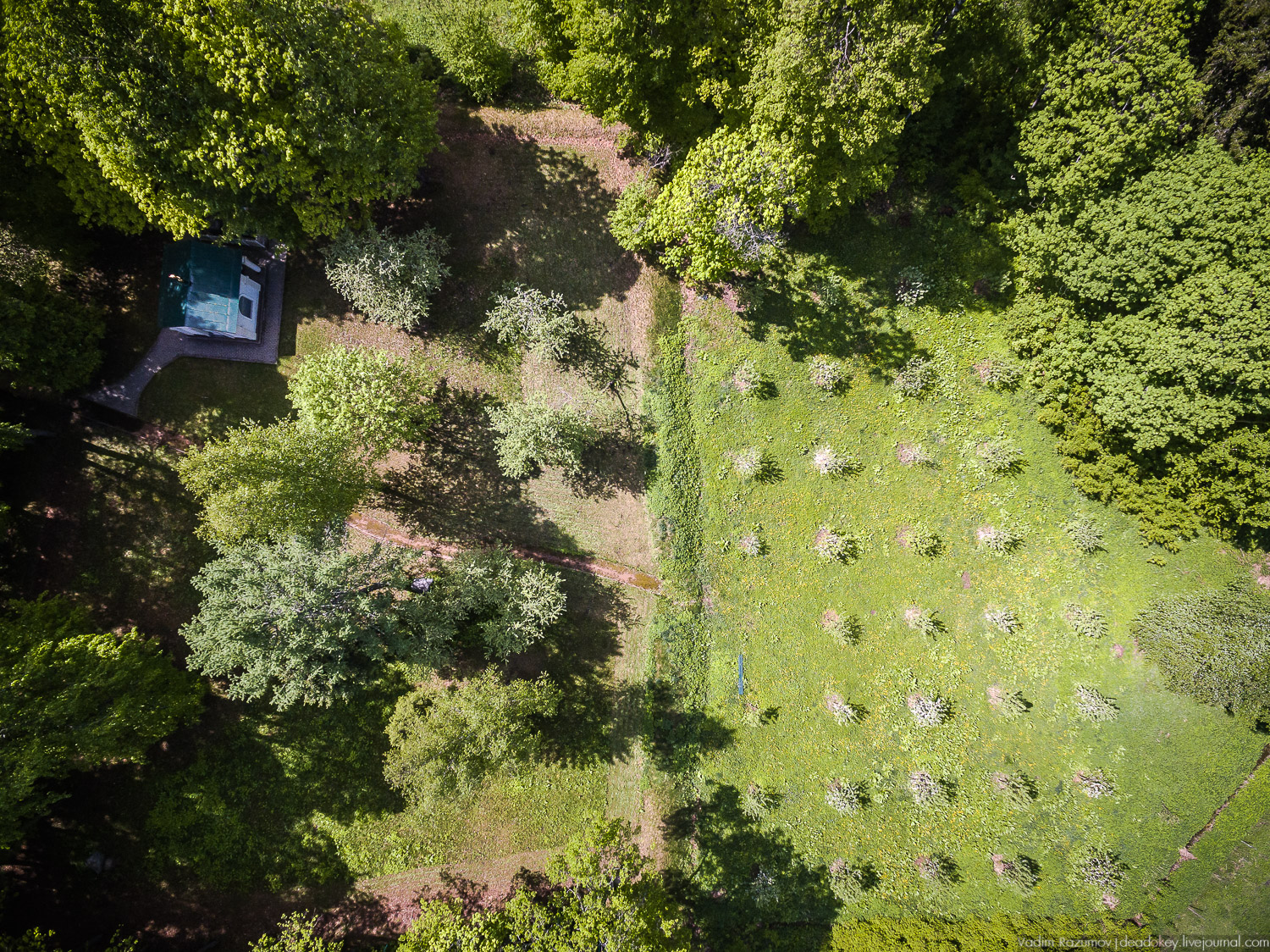 усадьба Воронино с дрона, квадрокоптера, Ярославская область, Ростовский район