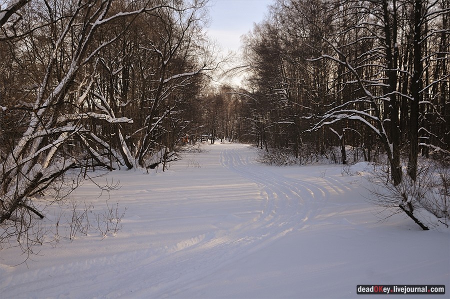усадьба Зюзино