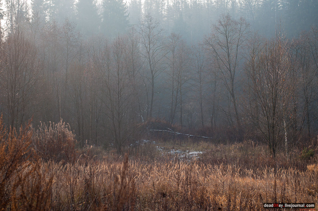 Усадьба Филатово