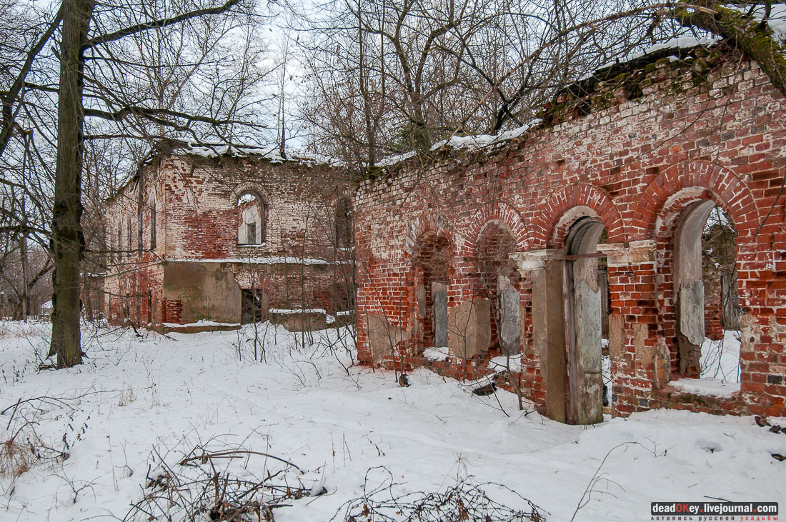 усадьба Гребнево, больничный комплекс