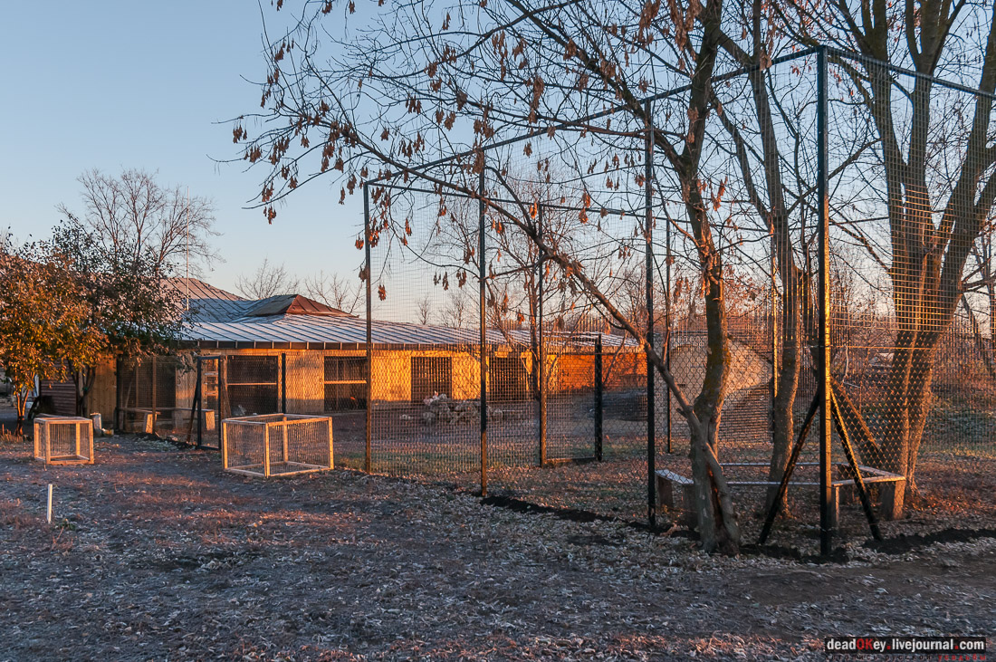 Скорняково-Архангельское