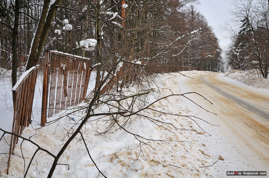 усадьба Дугино