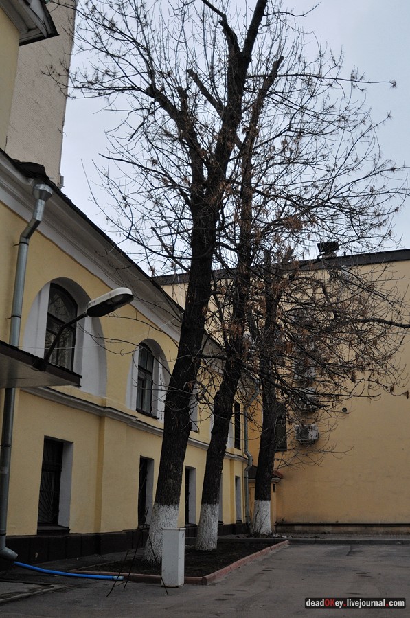 усадьба прапрадеда И.С. ТУРГЕНЕВА и бабушки Ф.И. ТЮТЧЕВА