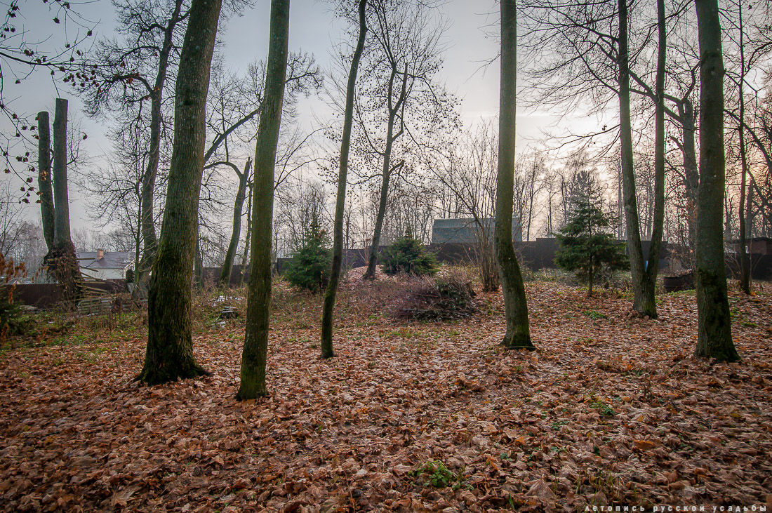усадьба Синево, Истринский район