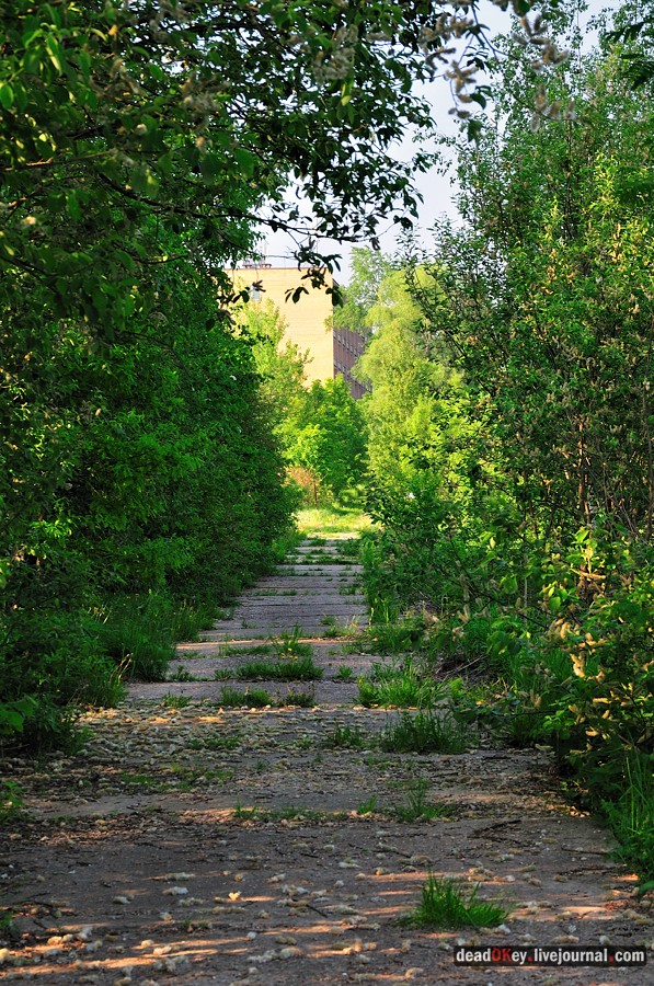 усадьба Богословское-Могильцы