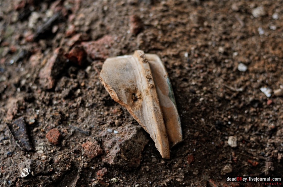 усадьба Федоровское