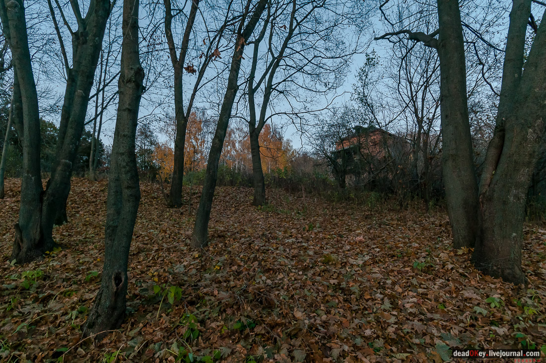усадьба Богородицк