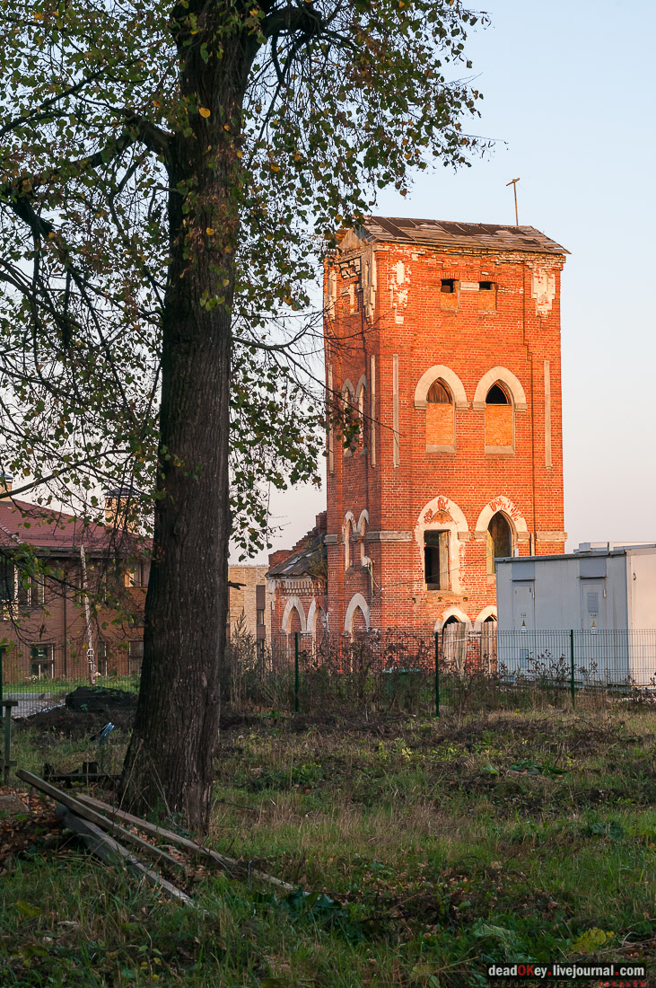 усадьба Бергов