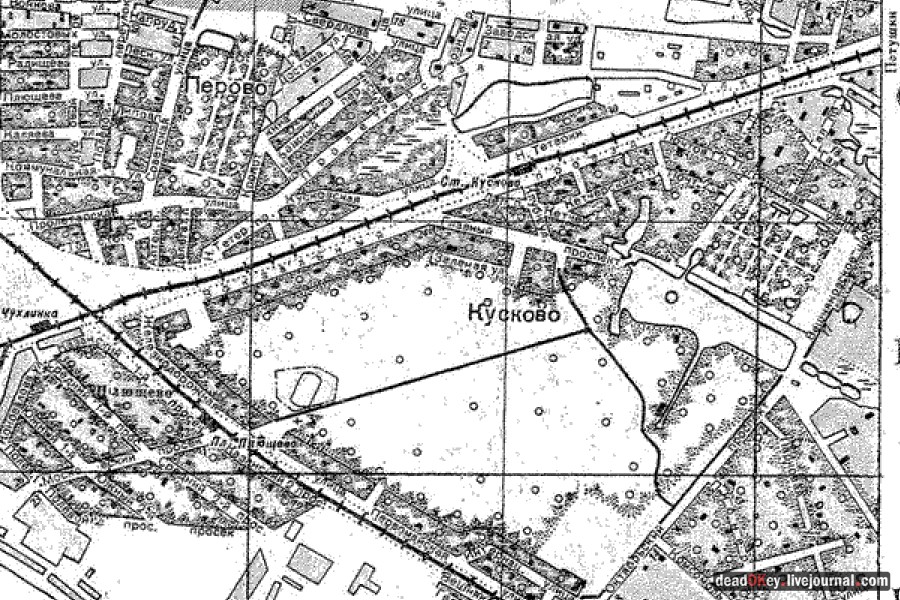 усадьба Кусково и Плющево