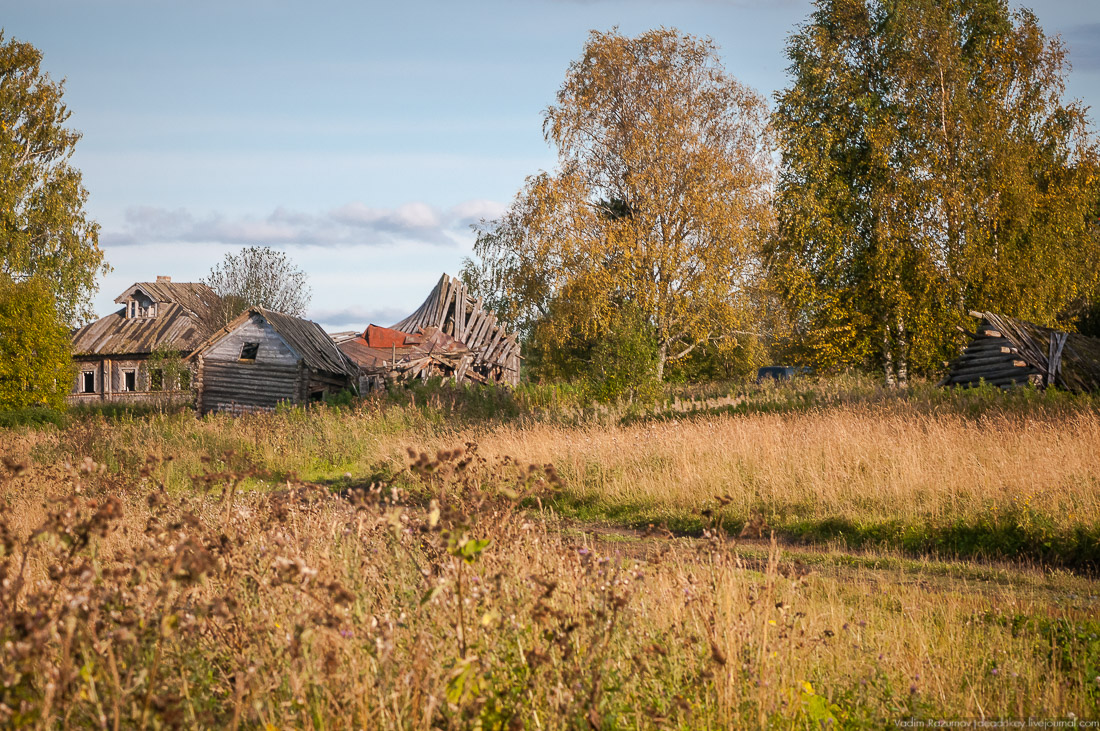 дер. Кучепалда, Архангельская обл.